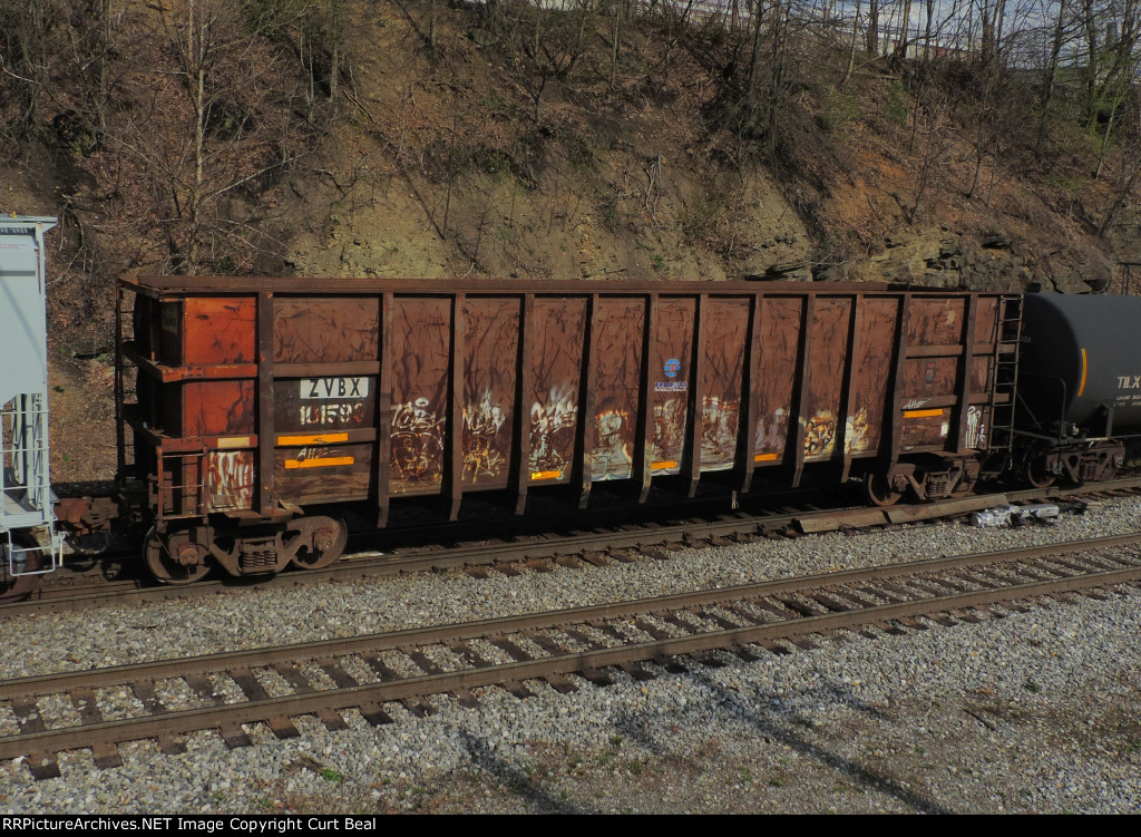 ZVBX 101593